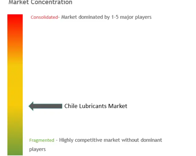 Chile Lubricants Market Concentration